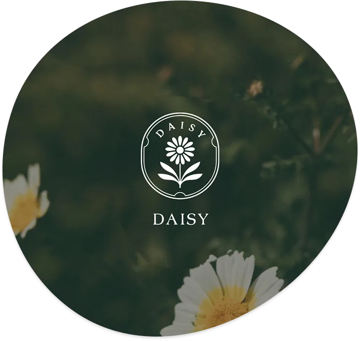 Daisy 波動美學館空間